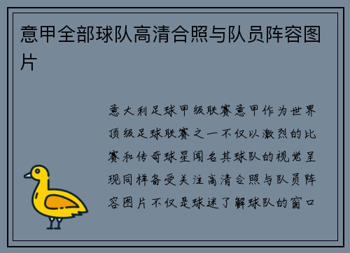 意甲全部球队高清合照与队员阵容图片